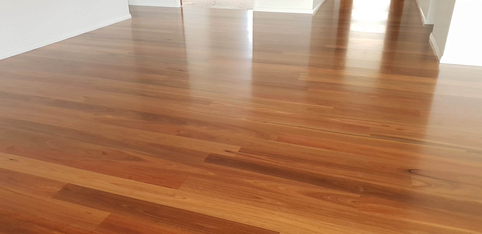 Satin Finish Spotted Gum Timber Floors